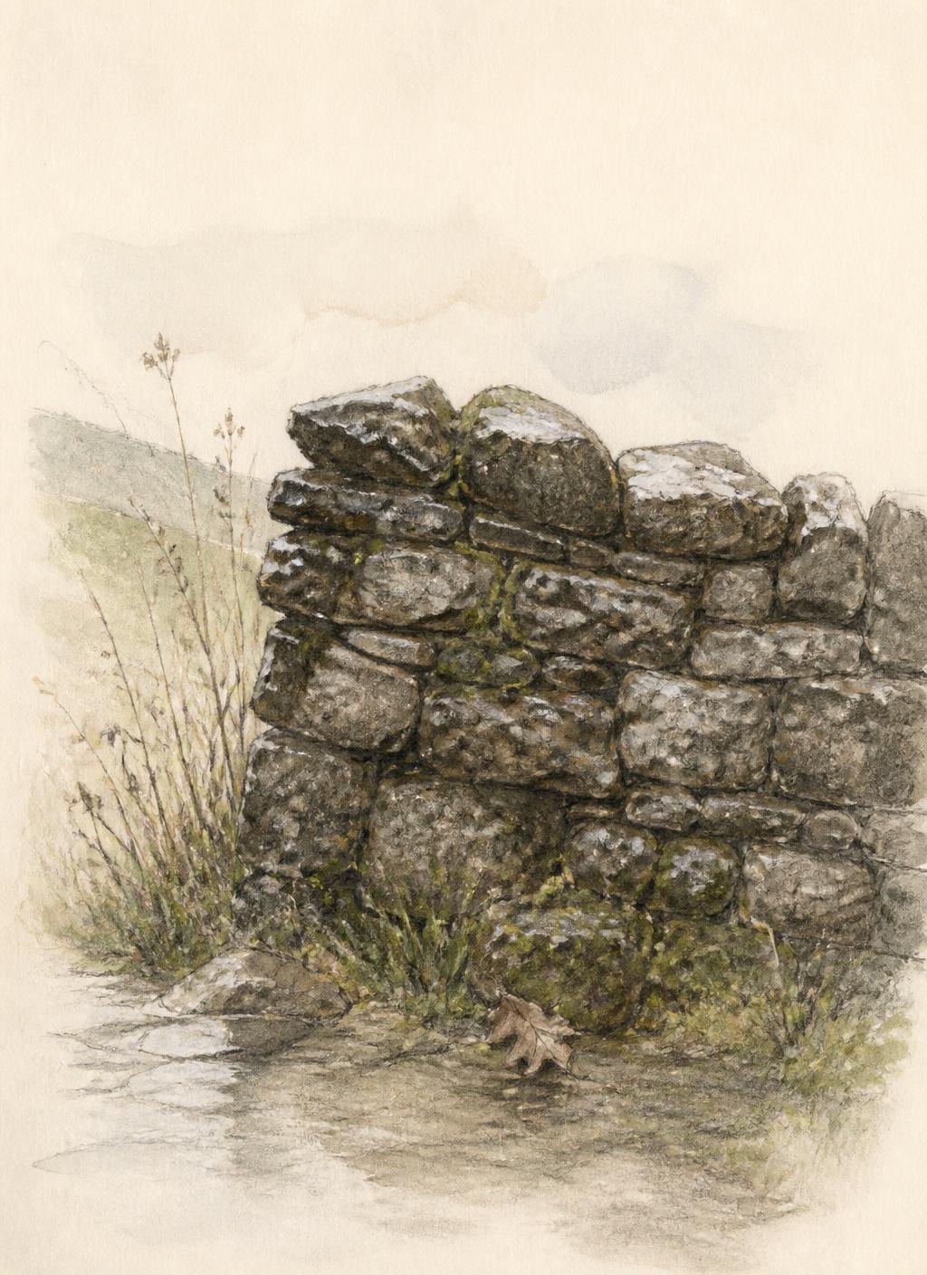 Pencil and watercolour sketch of an old stone wall standing after rain with grasses returning at its base